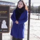 덕수공원반려견놀이터 이미지