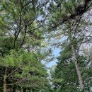 부춘마을 이미지