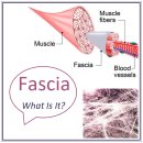 트레이닝 스타 이미지