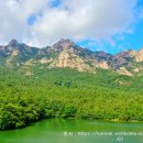 국화마을펜션 이미지