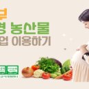 금정구친환경 농산물급식지원센터 | 2026년 동래구 임산부 친환경농산물 선정(+사업 연기)