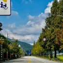 김호중 소리길 | [김천카페] 분위기도 맛도 너무 좋았던 김호중 소리길 연못앞커피