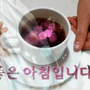 들은귀는 천년이요 말한입은 사흘이다 이미지
