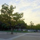 부평공원 Daum카페