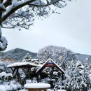 새하얀세상 이미지