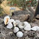 노을1(숙소옆) | [제주] 한림읍펜션 “협재노을” - (제주서쪽숙소/감성 독채펜션/가족 단체 커플)