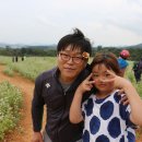 꽃그리고 이미지