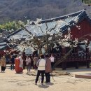 남도삼백리길(10코스) 이미지