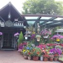 타샤의정원 이미지