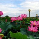 아름다운날 이미지