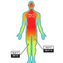 매일사우나 이미지