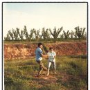 풍천농장 이미지