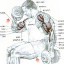 스카이 토탈 휘트니스 센타 이미지