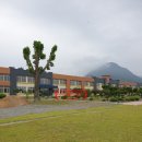 금성고등학교 이미지