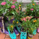 미라클랜드지역아동센터 이미지