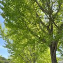 파스타짙은 이미지