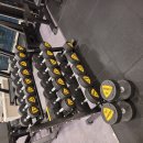 [판매완료] 덤벨 4~25kg +덤벨렉 팝니다. 이미지