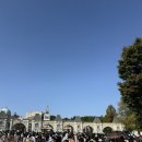 주차43 | [9개월, 43개월 아기랑] 에버랜드 일요일 오픈런 방문 생생 후기 (주차, 로스트밸리, 꿀팁?)