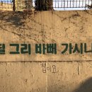 경기도 수원시 장안구 팔달로279번길 이미지