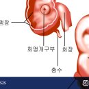 삼성본병원 이미지