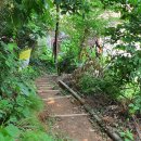 장학리노루목길(봄내길 8코스) 이미지