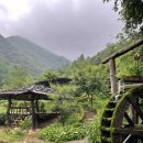 원동재로 | 강원도 촌캉스 내돈내산 숙소 추천_ 영월 산골초가펜션 큰채 후기 (상세후기와 두 번째 방문자의 꿀팁까지)