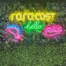 라라코스트 죽전점 | [대구죽전역맛집] 감삼동맛집 라라코스트 죽전점 솔직 후기!