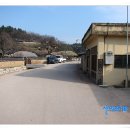 양동리향유 이미지