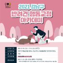 우리강아지 이미지