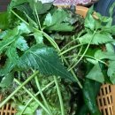 왕가네막창 이미지