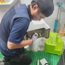 청북새싹길 | 평택누수 업체 찾고있다면 하수구25시 추천