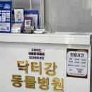 동울산동물병원 이미지