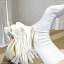 양말 이미지