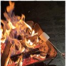 자연쉼터 | 화천야영장 자연 속 완벽한 쉼터, 화악산 캠핑여행 후기