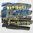 하이테디 | 양주 옥정동 애견미용 스트레스 없는, 하이테디(feat.구 뽀송뽀송)후기