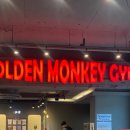 골든몽키짐 플래티넘 sky 이미지