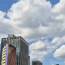 (주)에스케이푸드 | 이마트 트레이더스 추천상품 푸드코트 피자부터 휴무일 내돈내산