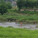 가평해피데이펜션 이미지