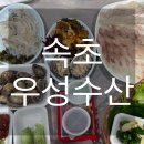 우성수산 | [속초]청호활어회센터 합리적인 가격 ‘우성수산’ 내돈내산 후기(+인어교주해적단)