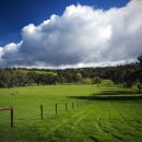 모가파출소 이미지