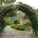 숲쟁이꽃동산 이미지