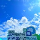 대전국제결혼 | 결혼준비_추석 급찐급빠 간헐적 단식 다이어트 8주차 후기 (+0.3kg)