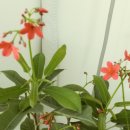 한농한의원 이미지