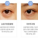 오브제성형외과의원 이미지