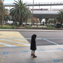 제주키즈가족바닷가하우스 이미지