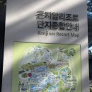 GS25 인제하늘내린점 | 가을명소 곤지암 화담숲 단풍현황 10월20일 다녀온 따끈한 후기