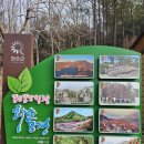 화순 만연산/만연산 치유의 숲 복수초산행.