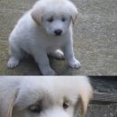 건강 요가-B 이미지