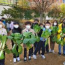 동도초등학교 이미지