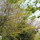 평택항로 이미지